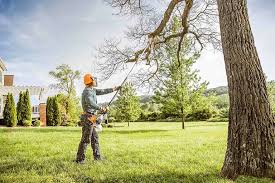 Best Aeration Services  in Ave Maria, FL